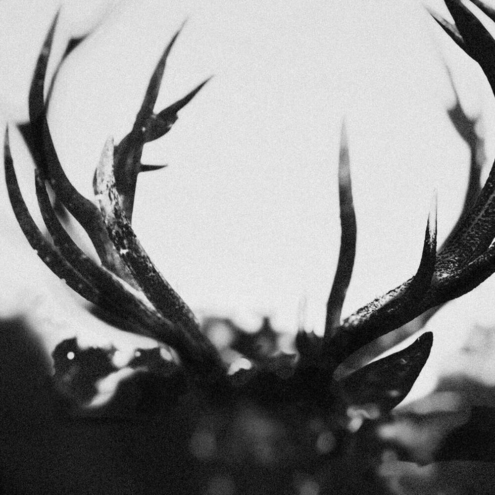 Ihsahn - Ihsahn  LP LP